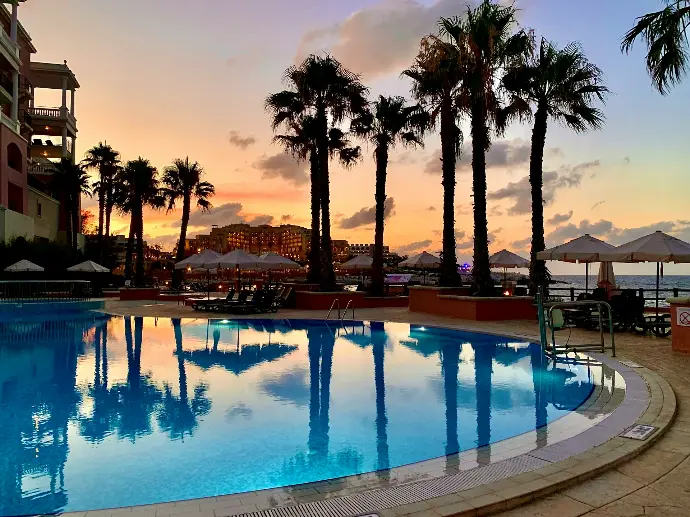 swimming pool near palm trees during daytime